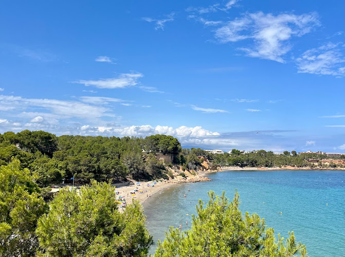 Aula natura a la platja